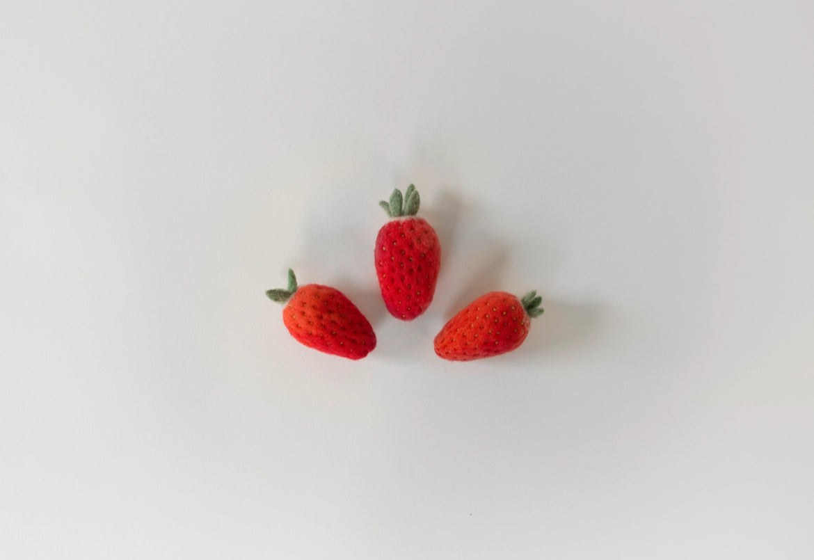 Needle Felting Kit - Strawberry